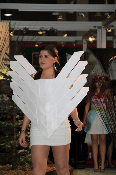 INFA2011   404.jpg